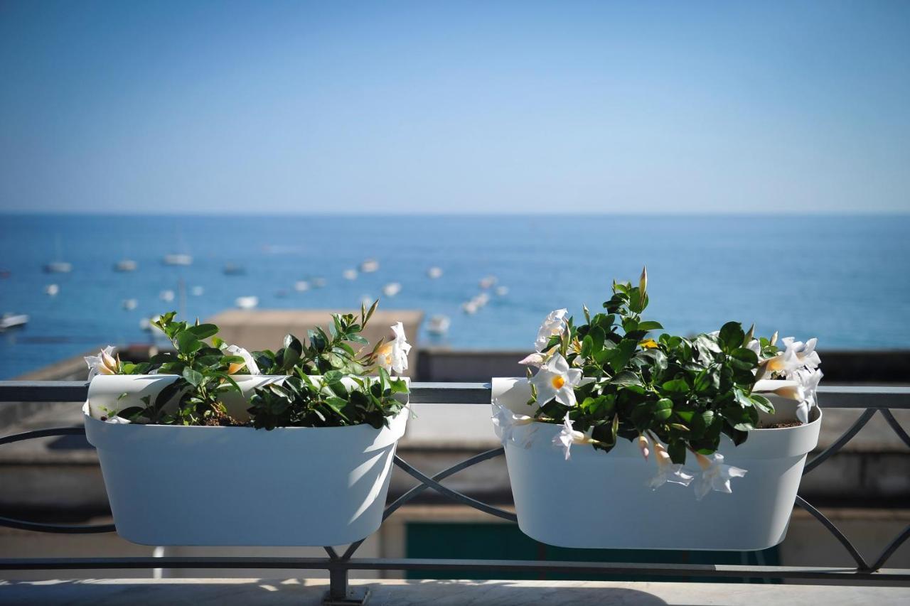 Appartement 1 Chambre - Vue sur Mer