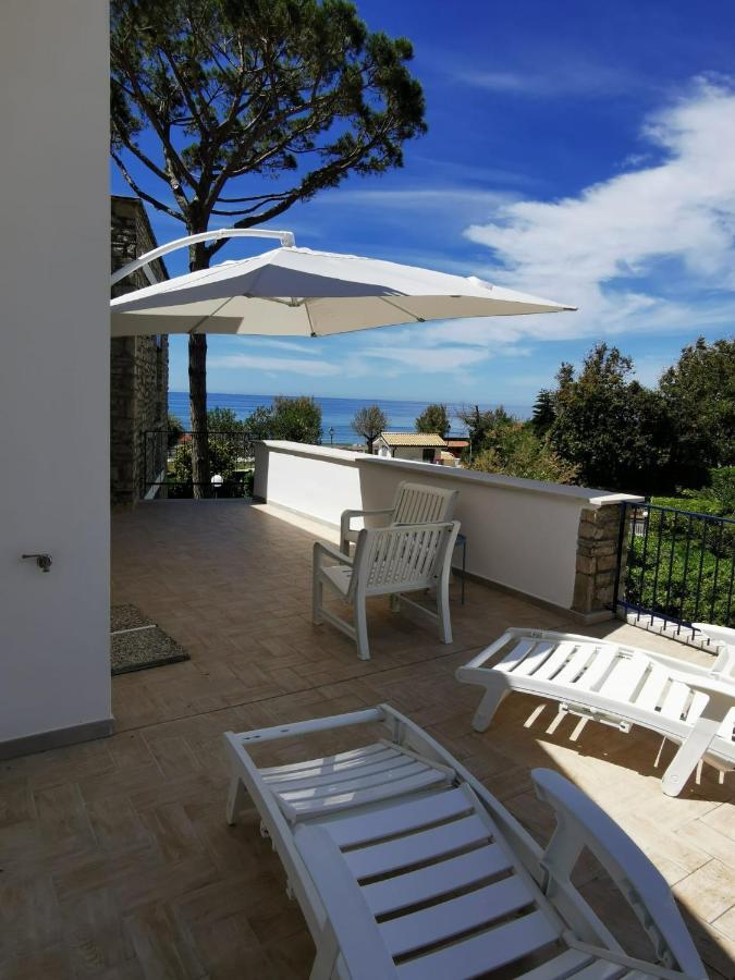 Suite Junior con terraza