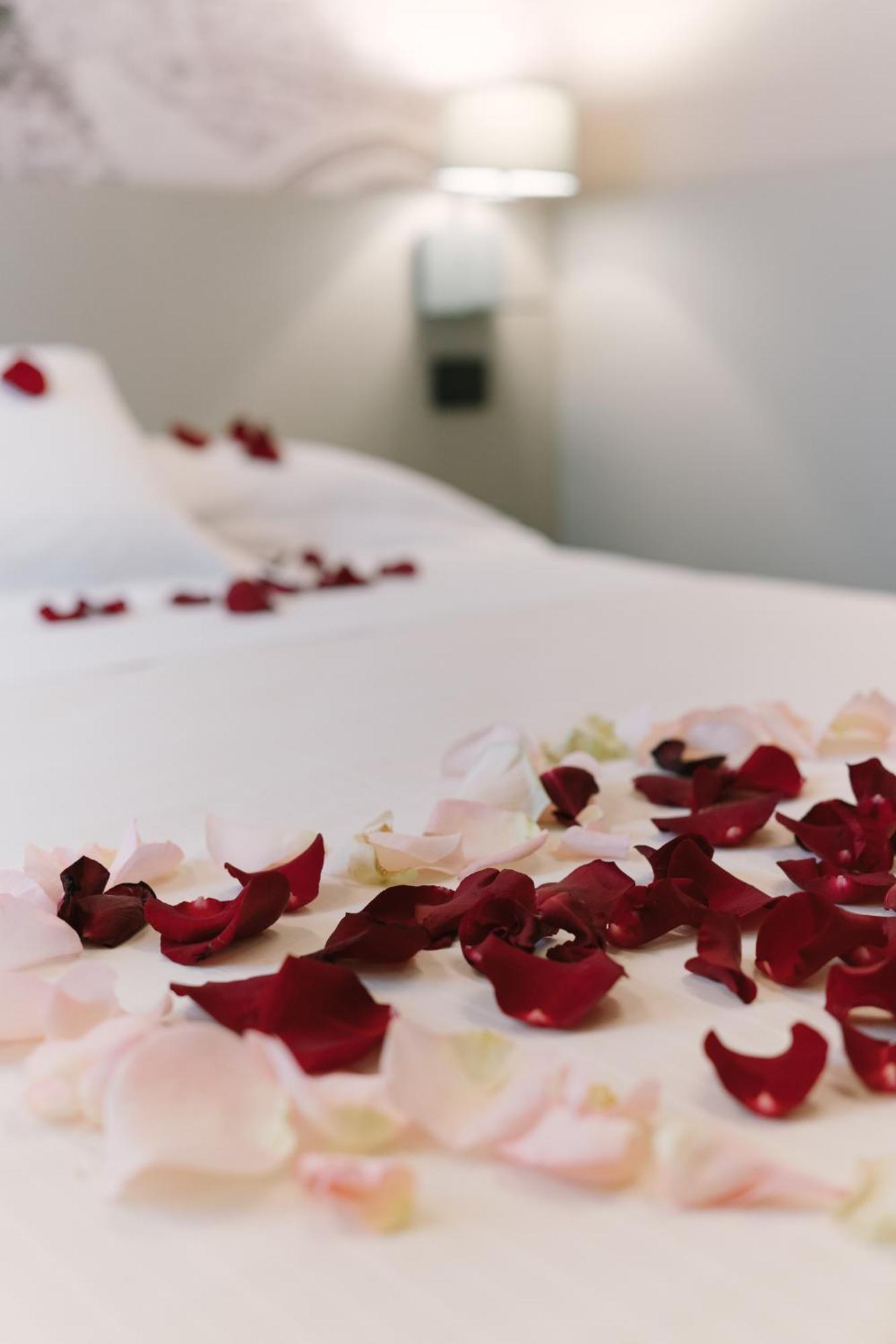 Quarto com Cama de Casal ou 2 de Solteiro