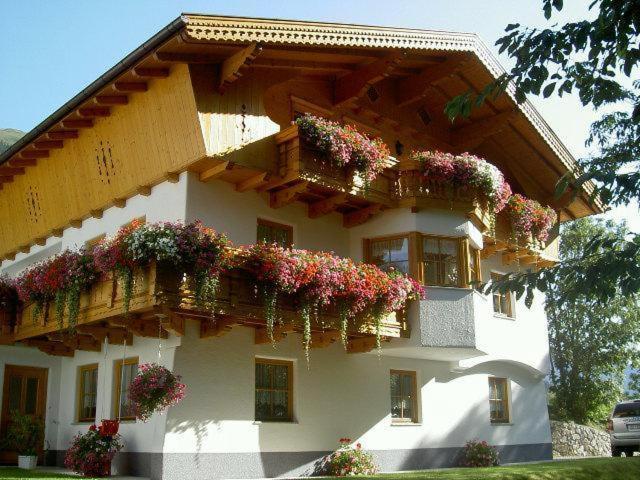 Habitación cuádruple
