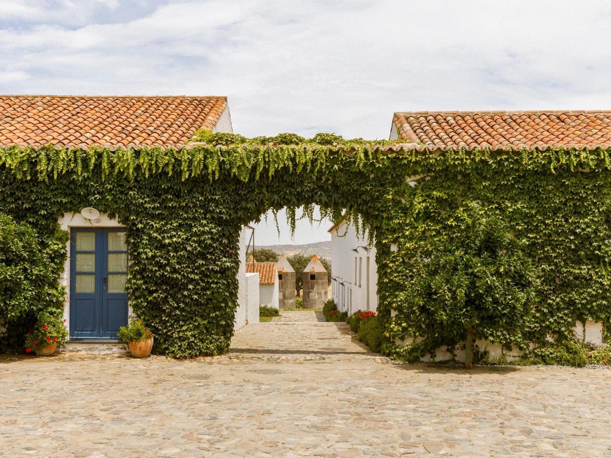 Chambre Double ou Lits Jumeaux -Domaine Viticole