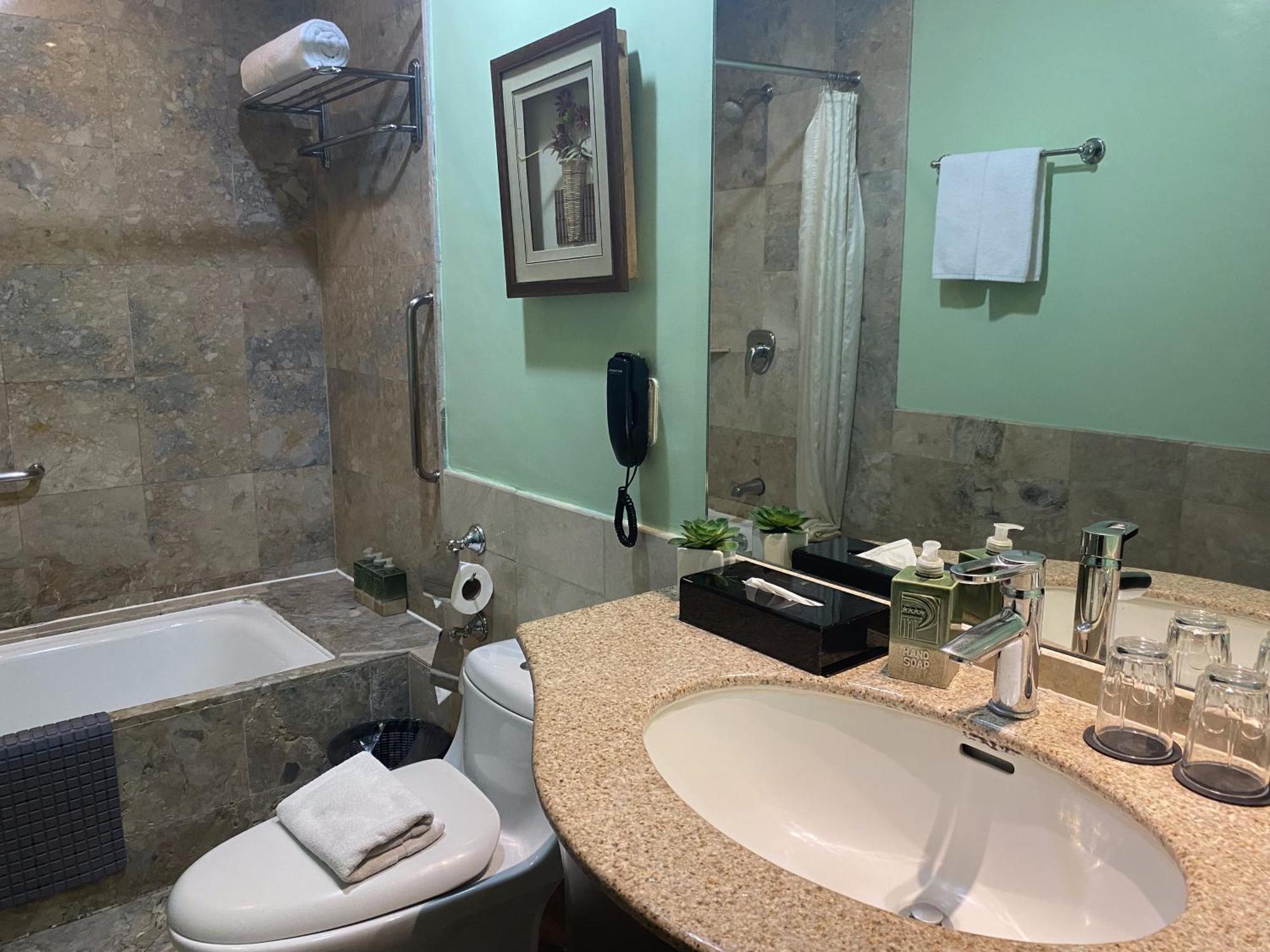 Deluxe Double or Twin Room