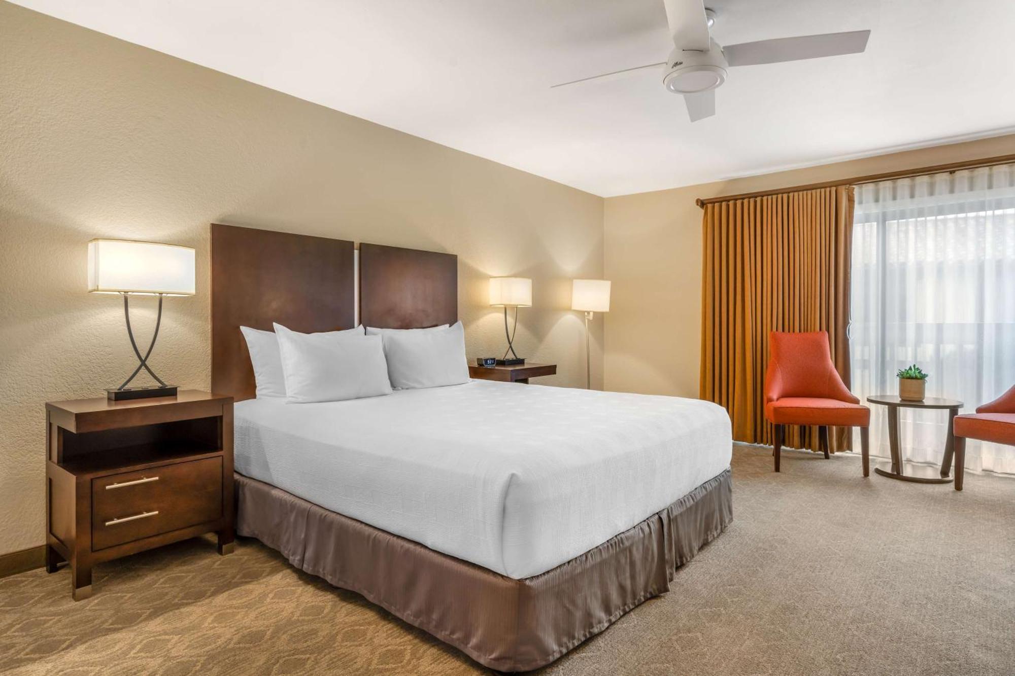 King Room,1525000954:JPEG