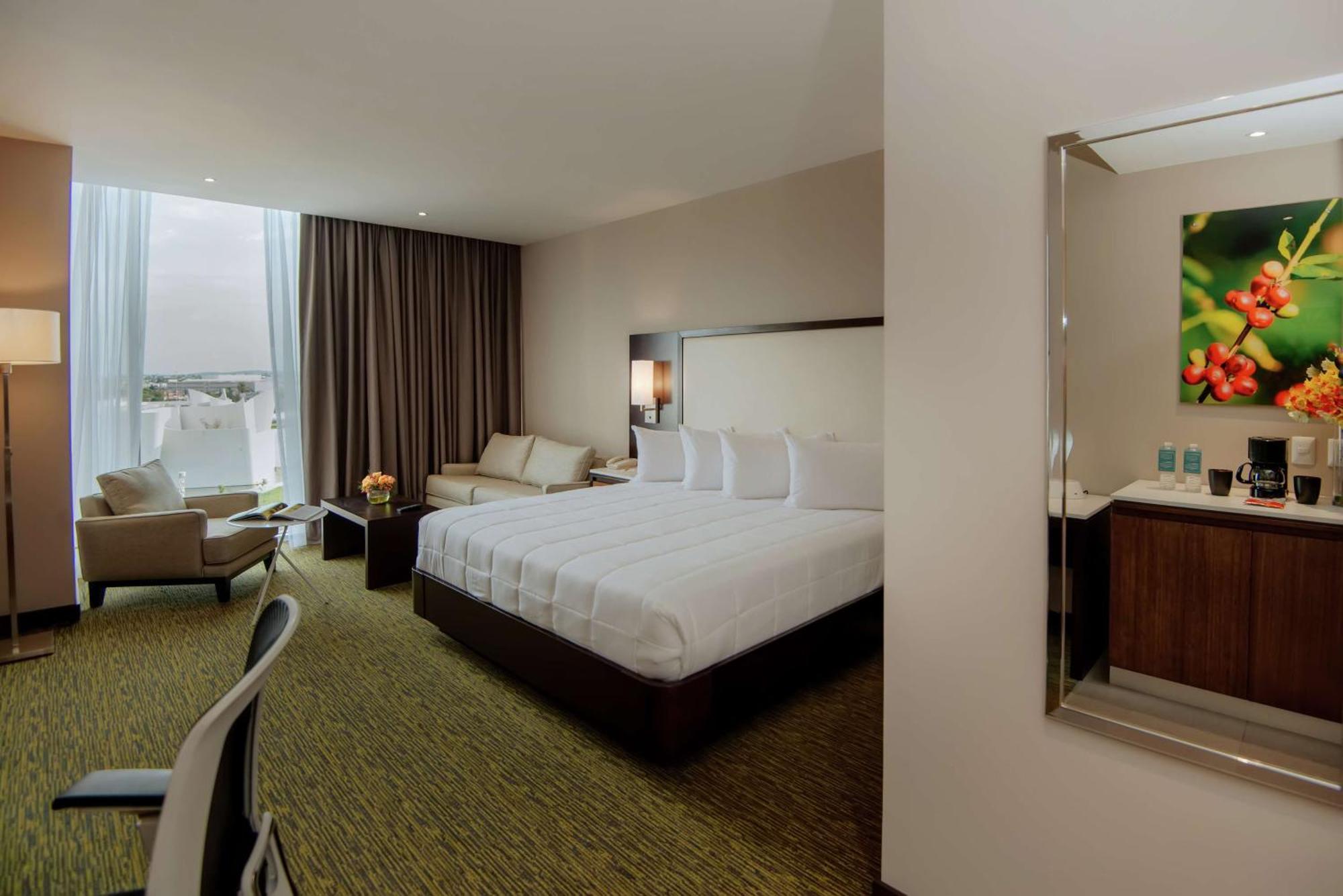 One-Bedroom King Suite