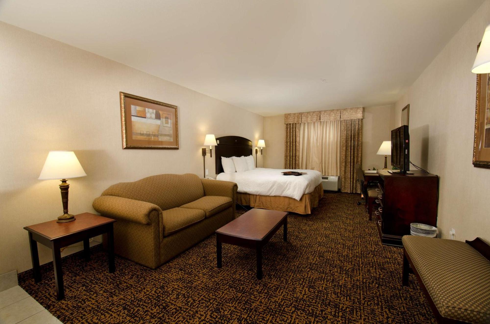 King Studio Suite with Sofa Bed - Non-Smoking