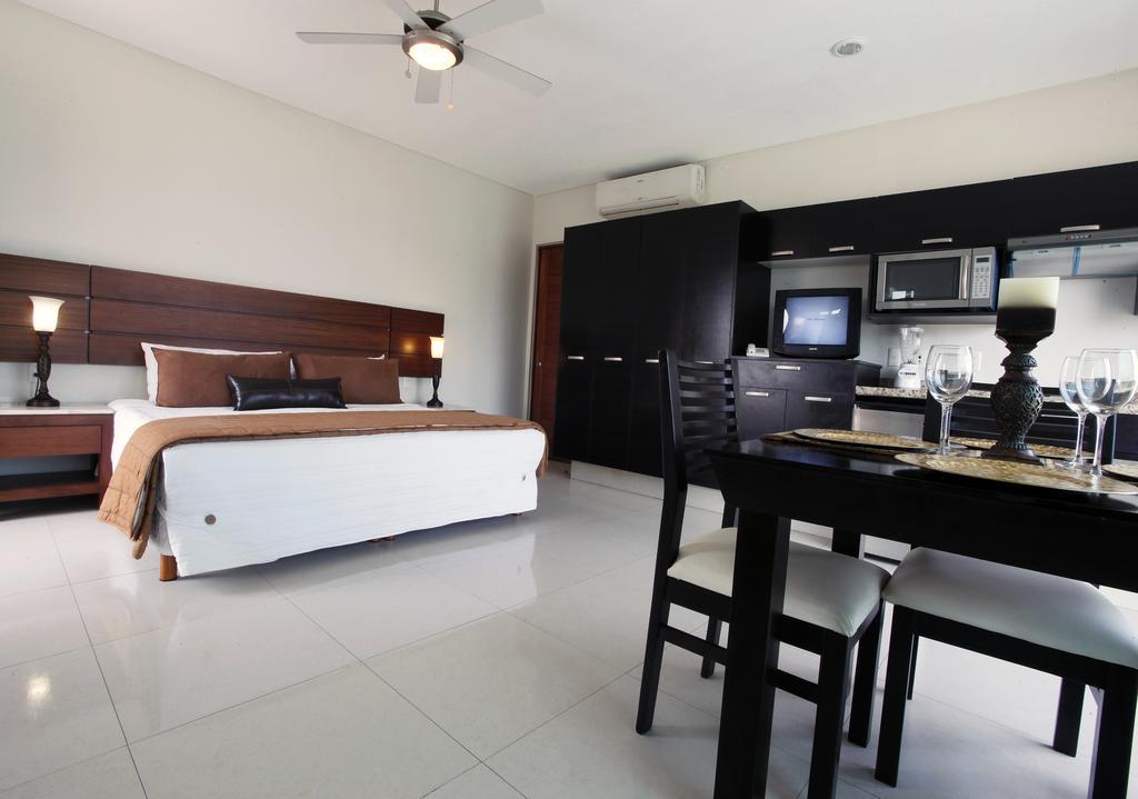 Estudio Shell