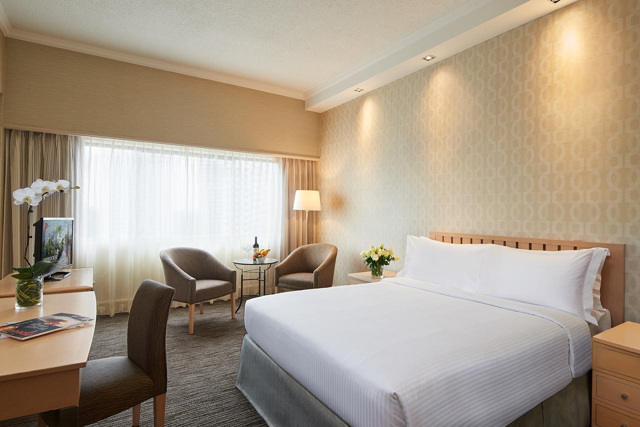 Superior Queen Room,509796039:JPEG