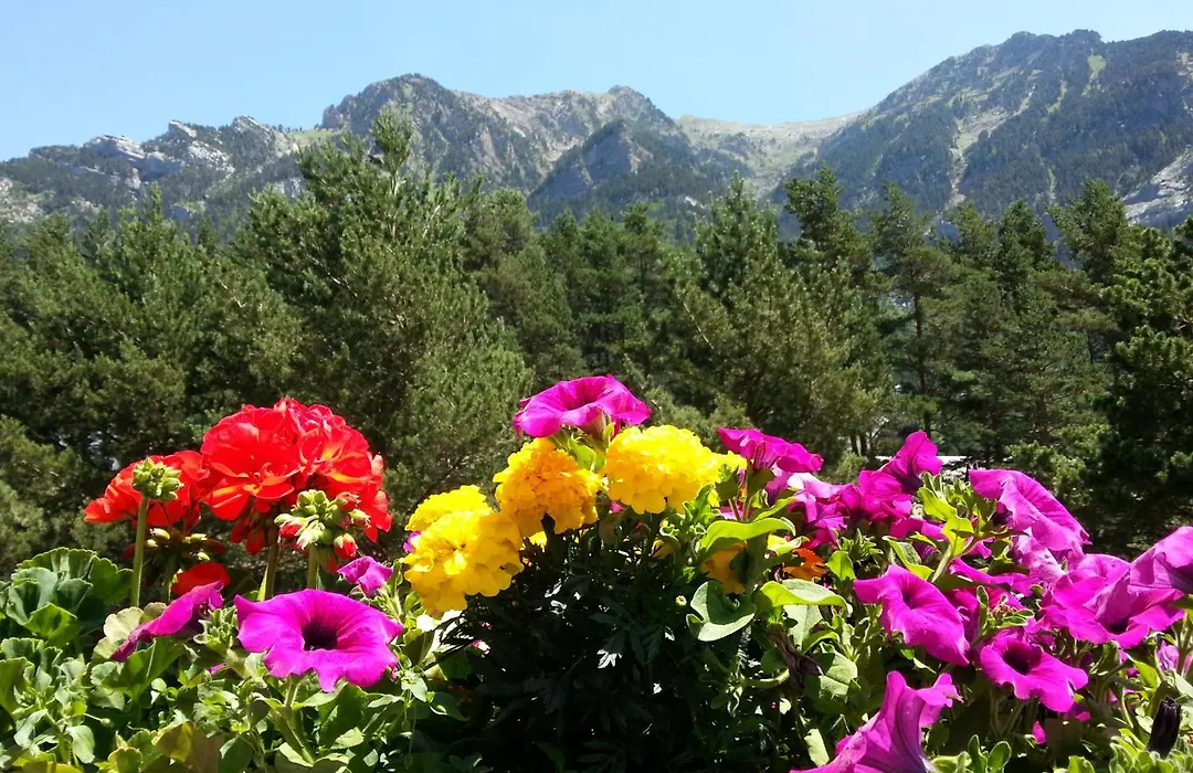 Hotel Villa de Canfranc-1
