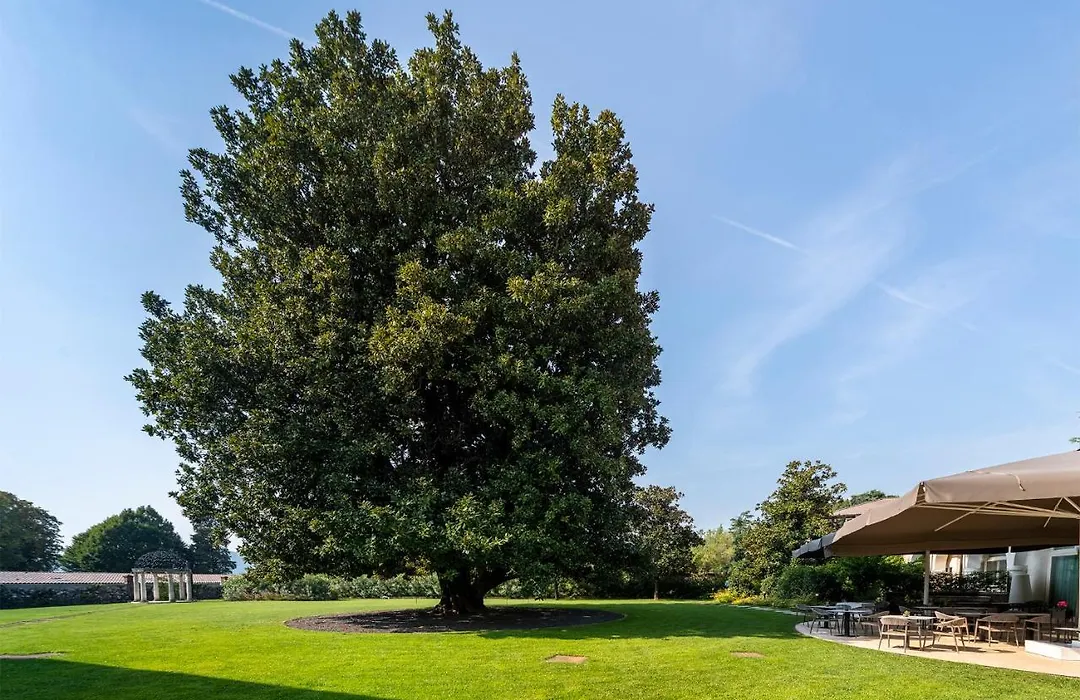Villa I Pini-1