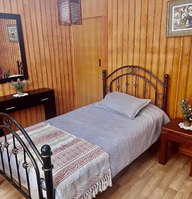 Hotel Termas Del Flaco-1