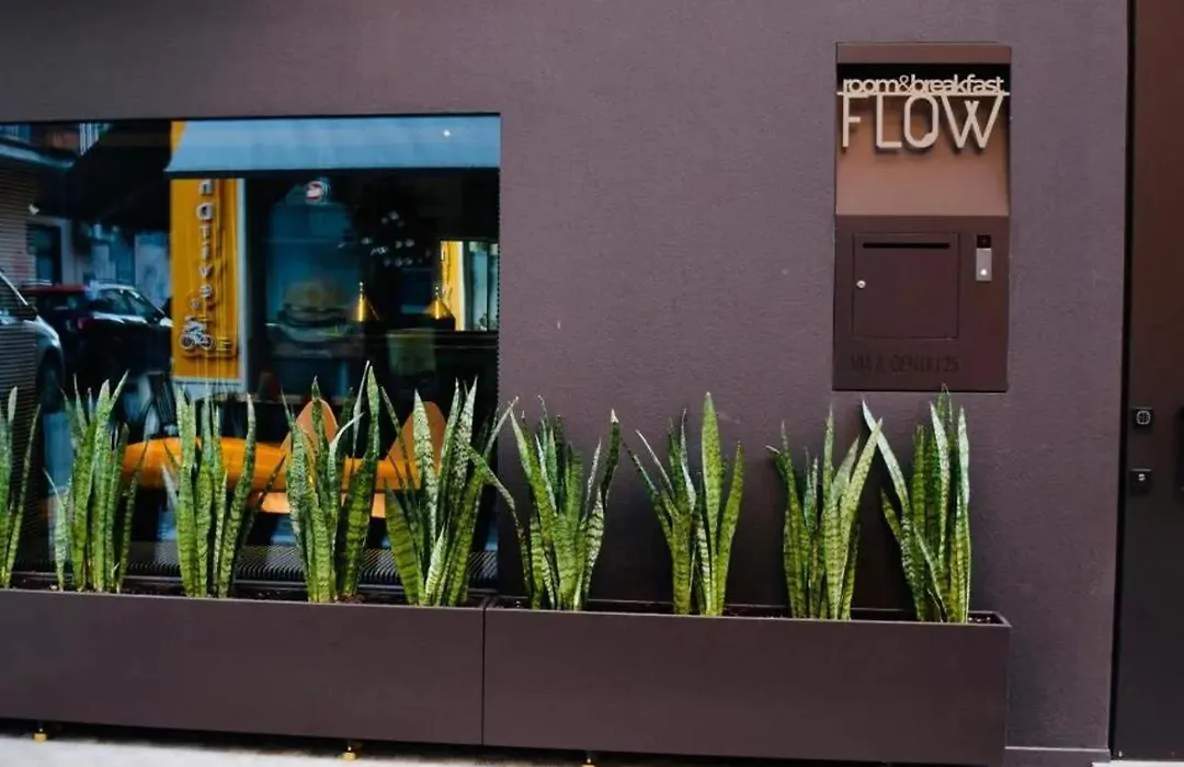 Flow B&B-1