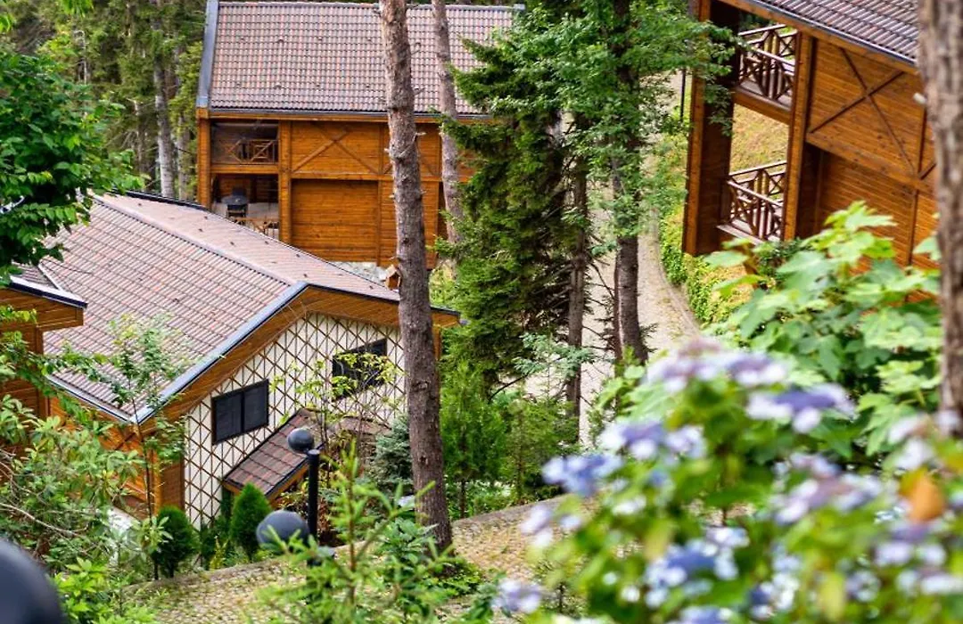 Hancioglu Orman Evleri & Hotel-1