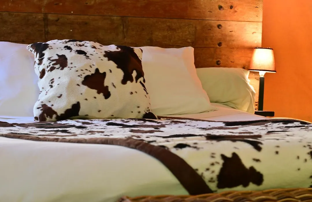 Prehistoric Lodge - Adult Only-1