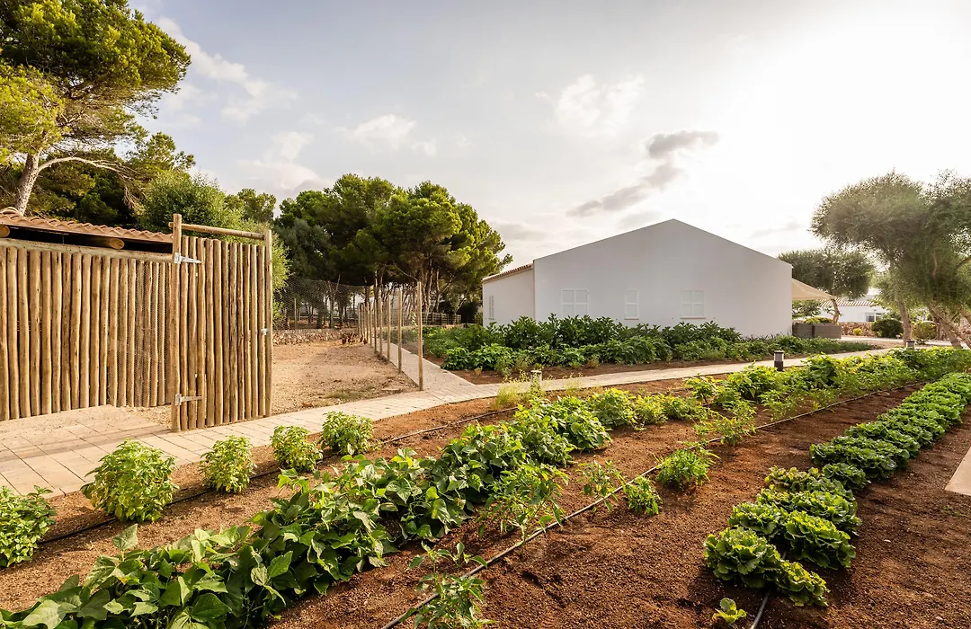 Lago Resort Menorca - Villas&Bungalows del Lago-1