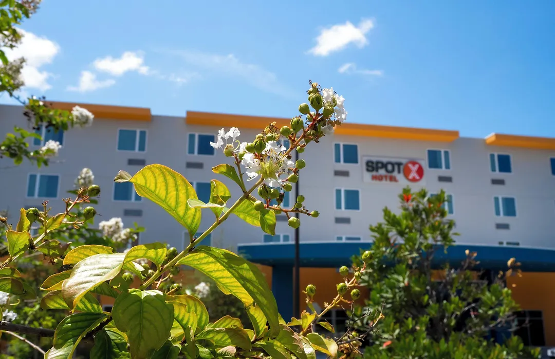 Spot X Hotel Orlando Intl Dr By The Red Collection-1