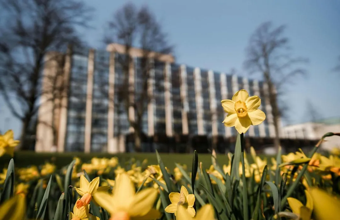 Sheraton Essen Hotel-1