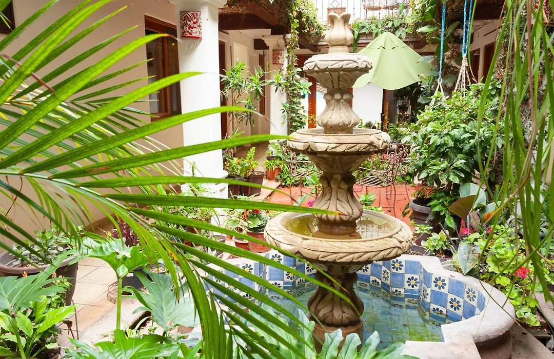 Hotel Dainzu-1