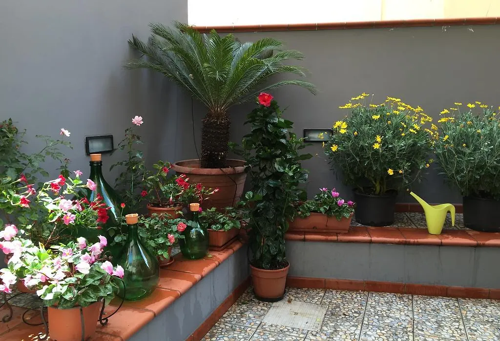 B&B Civico Cinque-1