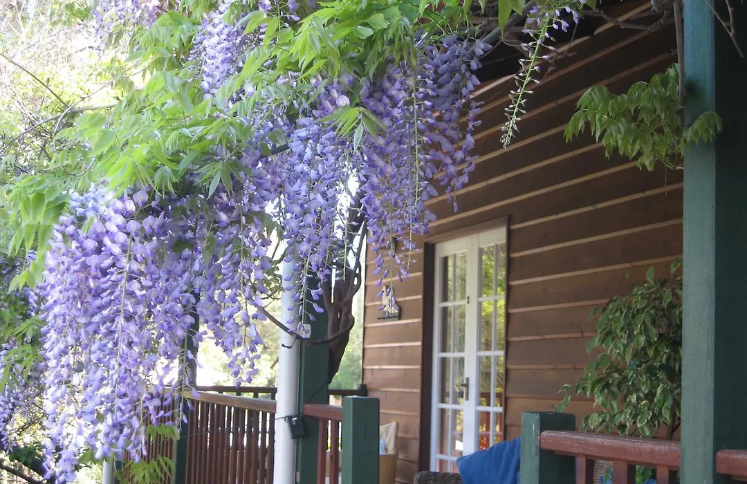 Rosemoore Bed & Breakfast-1