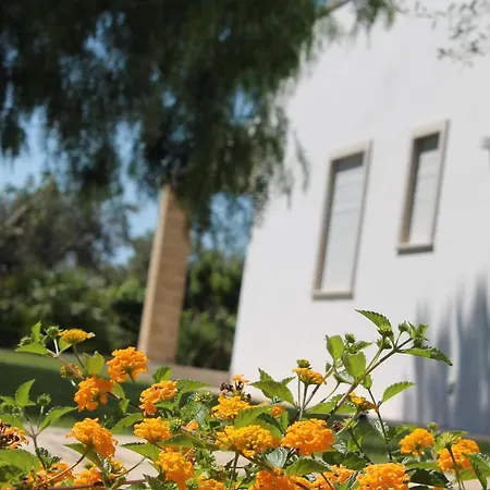 Paloma B&B-2