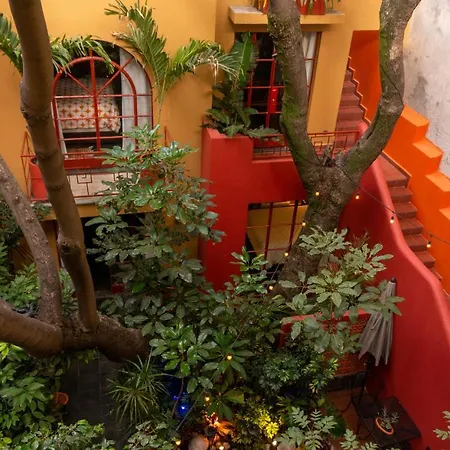 The Red Tree House-2