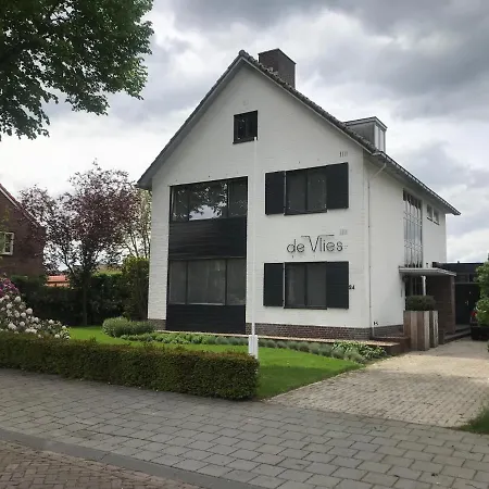 De Vlies-3
