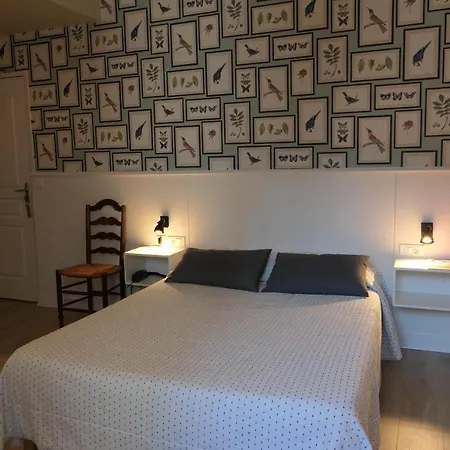 Hotel Kapa Gorry-3