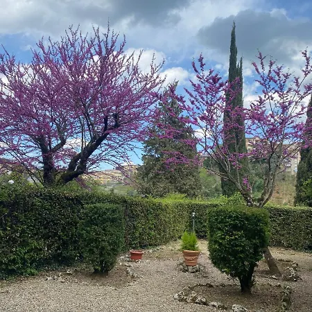 Villa Zara-2