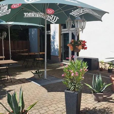 Berghotel Steiger - Pfotenurlaub-2
