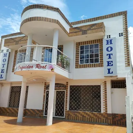 Hotel Orquídea Real-2