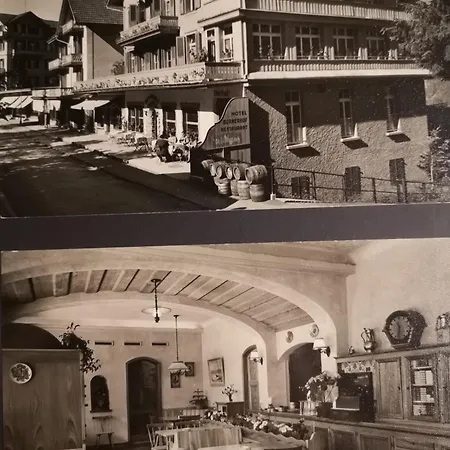 Swiss Lodge Hotel Bernerhof-2