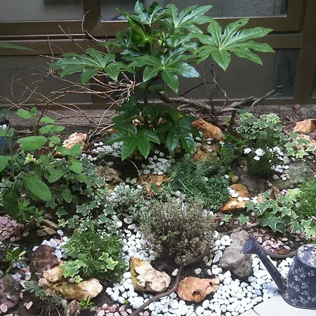 Eco Art Hotel Statuto-2