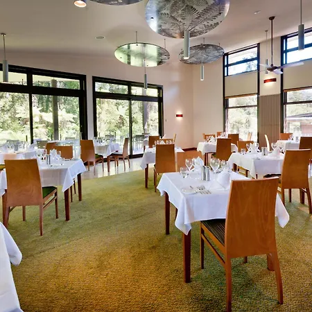 Legacy Te Waonui Hotel Franz Josef-3