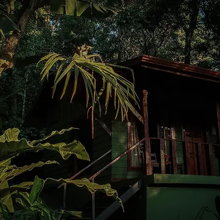 Jaguarundi Jungle Lodge - Monteverde-3