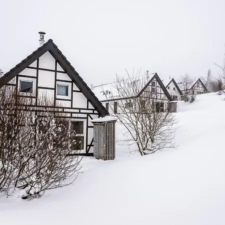 Landal Winterberg-2