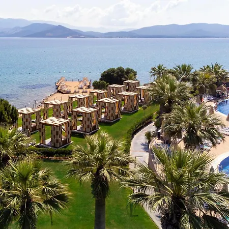 Duja Didim-2