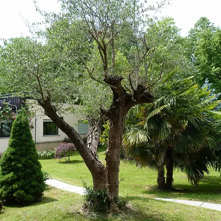 Parco Hotel Sassi-3