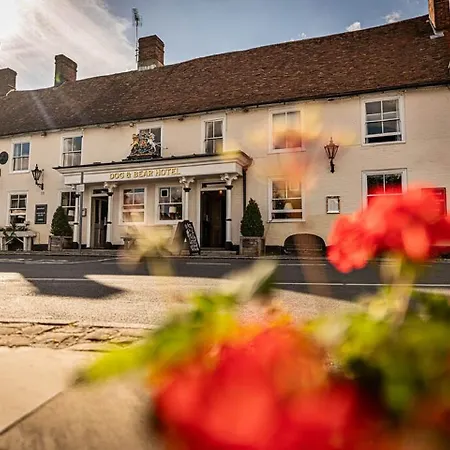 The Dog & Bear Hotel-2