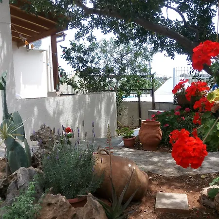 Hotel Eliza-3