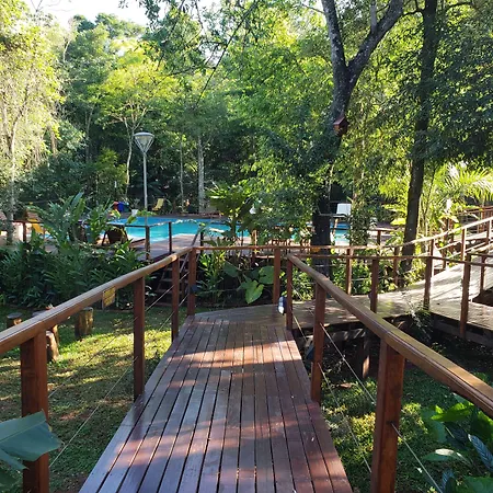 Selva de Laurel-2