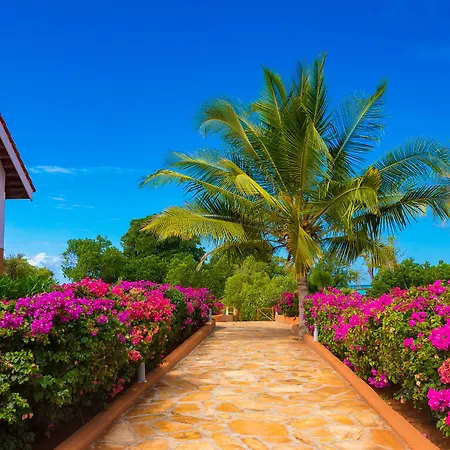Azao Resort & Spa-3