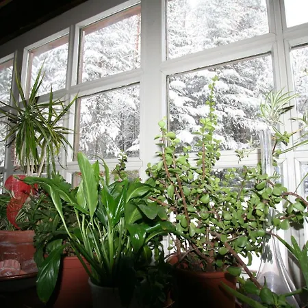 B&B Villa Dolomites Hut-2