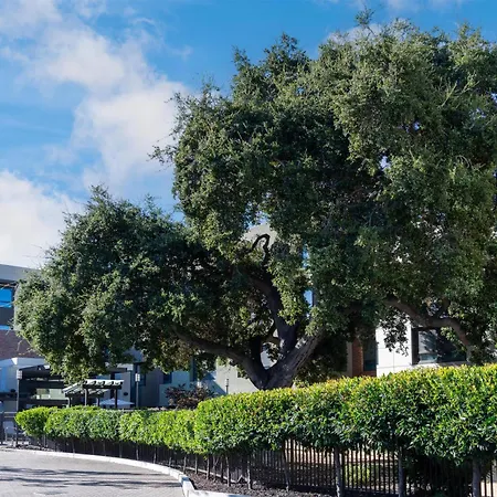 Homewood Suites By Hilton Palo Alto-2