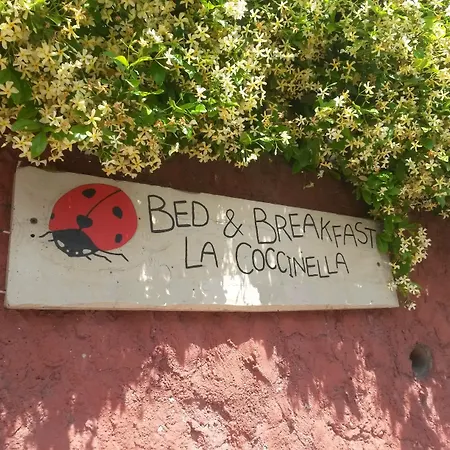 La Coccinella B&B-2