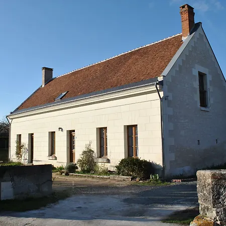 Le Tulipier de Virginie-2