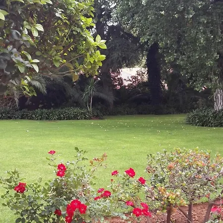 The Shakespeare Inn-3