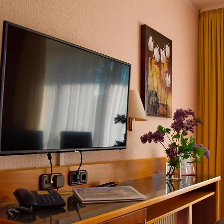 Hotel Goldener Fasan-2