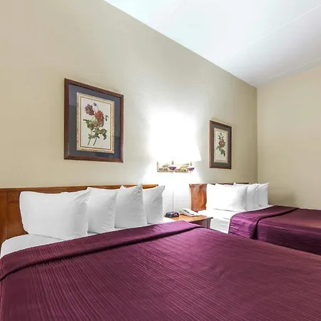 Quality Inn Maysville-3