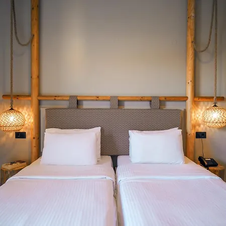 Asana Hotel-2