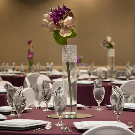 Comfort Inn & Suites Presidential-2